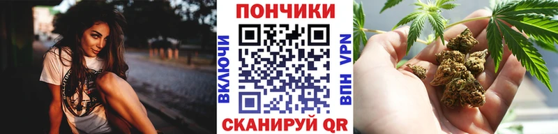 Купить  Краснотурьинск  Бошки Шишки Amnesia 